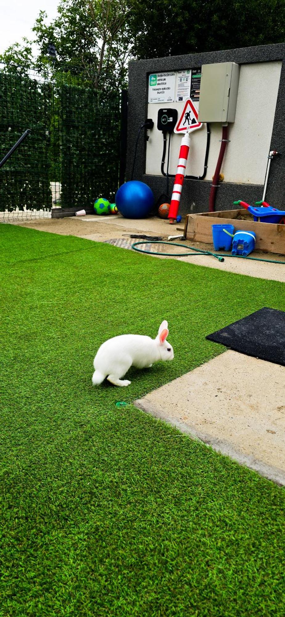 Apartament Amurresidence 64 Sauna Parking Barbeque Iasi